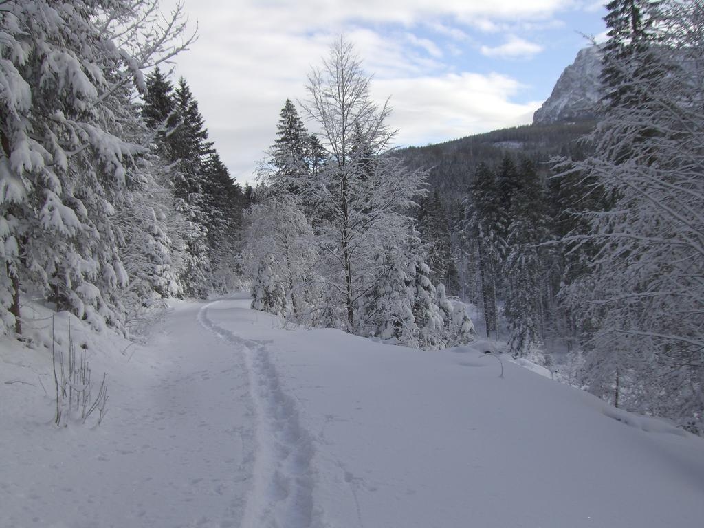 Ferienwohnung am Römerweg Wald Inzell Exterior foto
