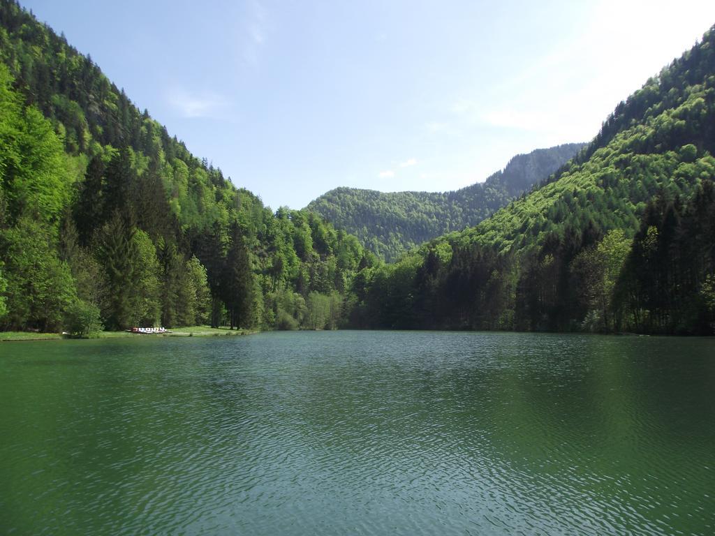 Ferienwohnung am Römerweg Wald Inzell Exterior foto