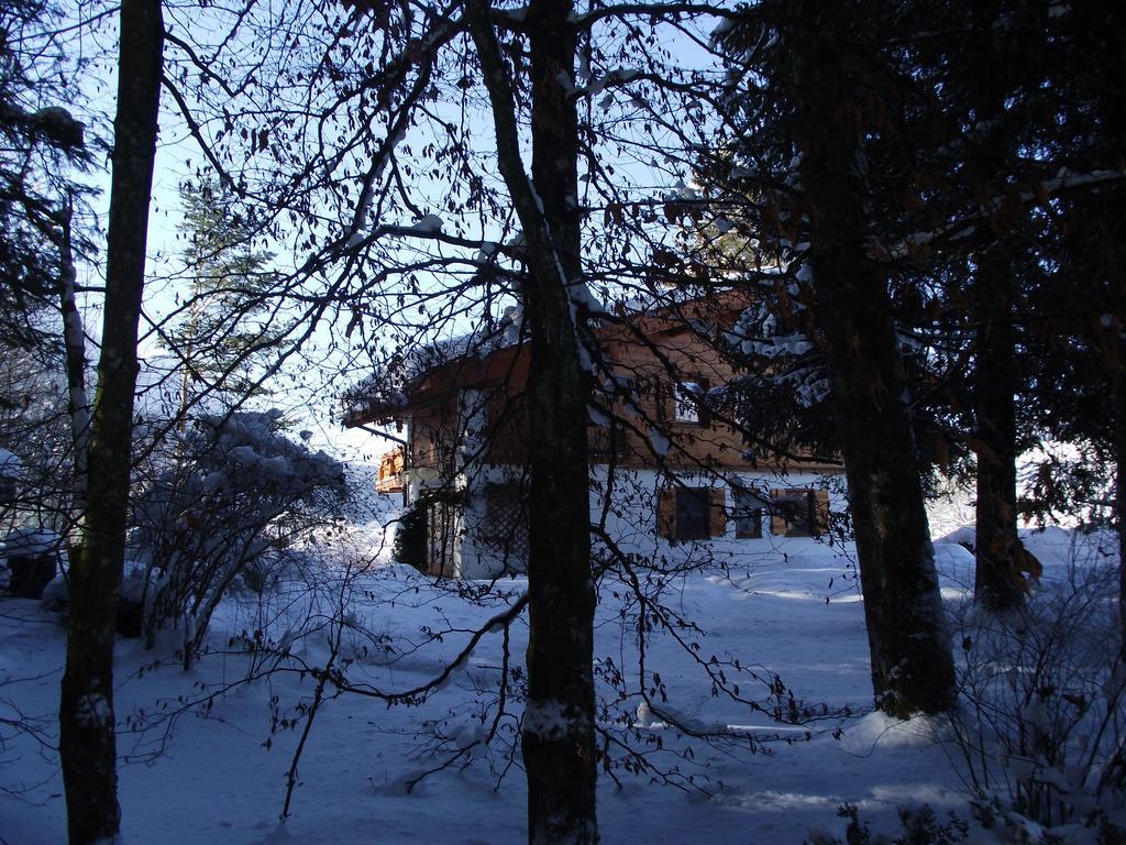Ferienwohnung am Römerweg Wald Inzell Exterior foto